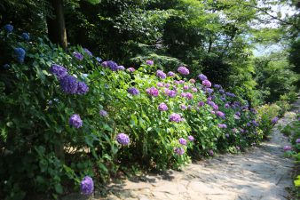 IMG_1875