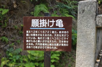 IMG_1902