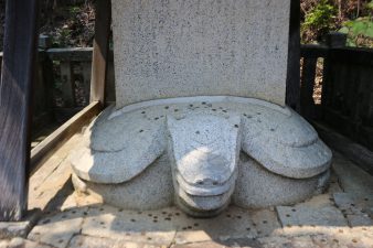 IMG_1903
