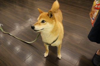 IMG_7038