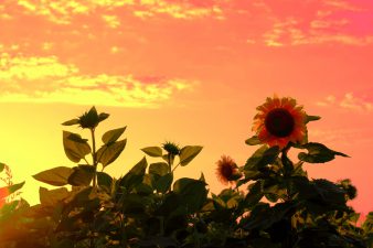 a6797649e74bd1f67fe71f9bd3ff02f4_l