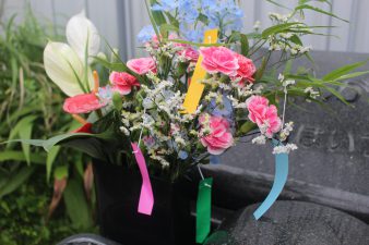 IMG_8326