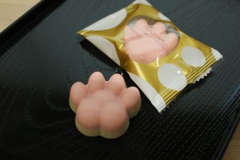 IMG_8372