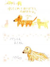 img20200801_18290084