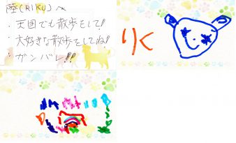 img20200809_17502054