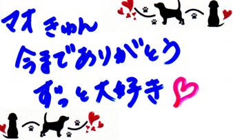 img20200902_18293996