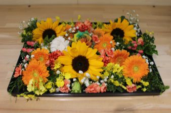 IMG_8658