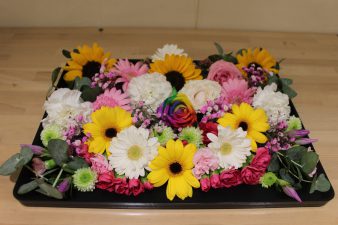 IMG_8680