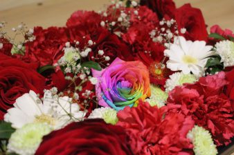 IMG_8939