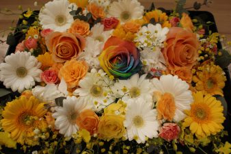 IMG_9159